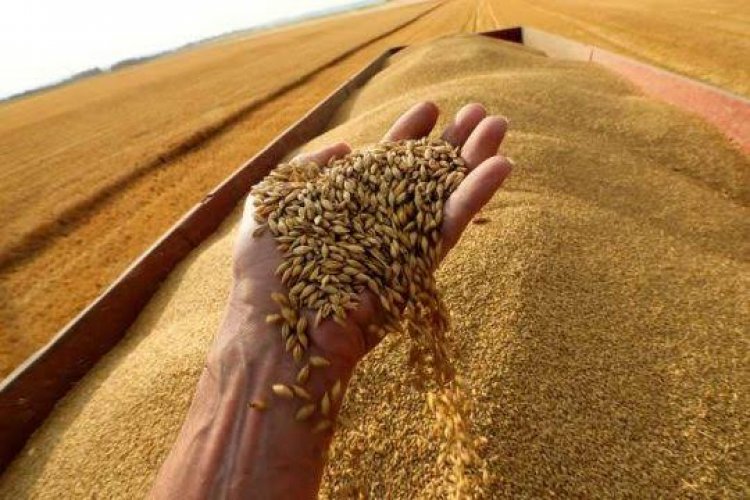 Impamvu intambara yo muri Ukraine ishobora guteza inzara muri Afurika