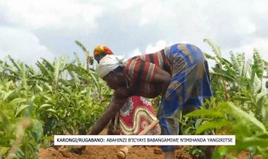Karongi: Baterwa igihombo n’imihanda mibi ituma batageza umusaruro wabo ku ruganda.