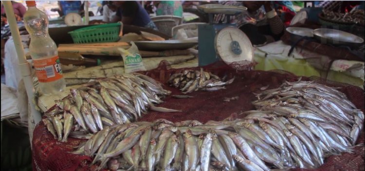 Rubavu: Kuroba imigara, intandaro yo gutumbagira  kw’ibiciro ku isoko