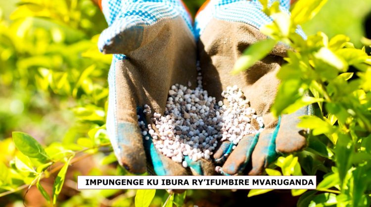 Intambara yo muri Ukraine:Abahinzi baravuga ko batewe impungenge n’ibura ry’ifumbire mvaruganda.