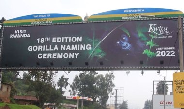 Musanze : Uko abaturage batuye muri aka karere biteguye umunsi wo kwita izina abana b'ingagi