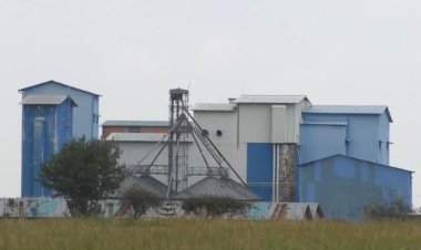 Gicumbi :  Ifungwa ry'uruganda rutunganya ingano ryateje ikibazo