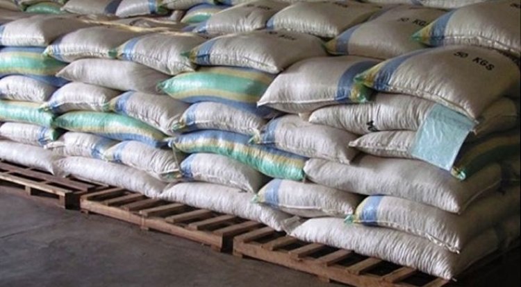 Abahinzi barasaba ko hakorwa ubushakashatsi bwimbitse ku miti ikoreshwa mu guhungira imyaka.