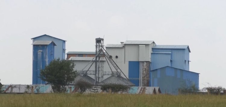 Gicumbi :  Ifungwa ry'uruganda rutunganya ingano ryateje ikibazo