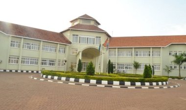 Rwamagana:Abanyonzi barasaba ubuyobozi kwinjira mu bibazo byugarije koperative yabo.