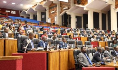 Abasenateri barasaba kongera imbaraga mu bigo bikorerwa igenzura ryimbitse ku ikoreshwa ry’ingengo y’imari