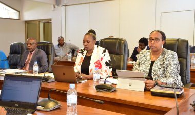 Urwego rw'umuvunyi rwifuza ko itegeko rigena cyamunara ryahinduka