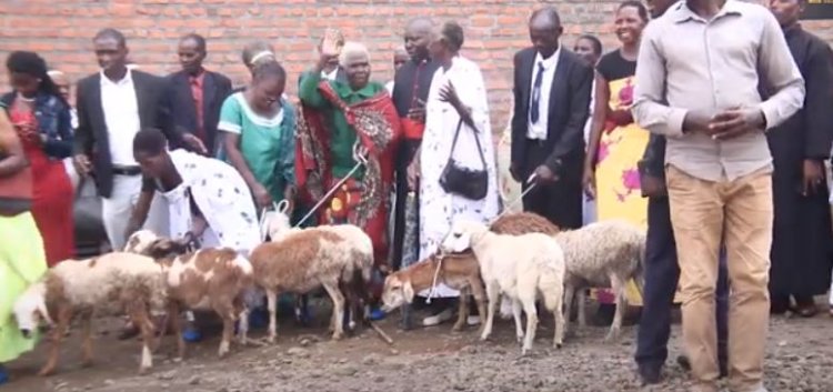 Burera:  Abaturage bahuriye mu matsinda yo kwizigama no kugurizanya borojwe intama.