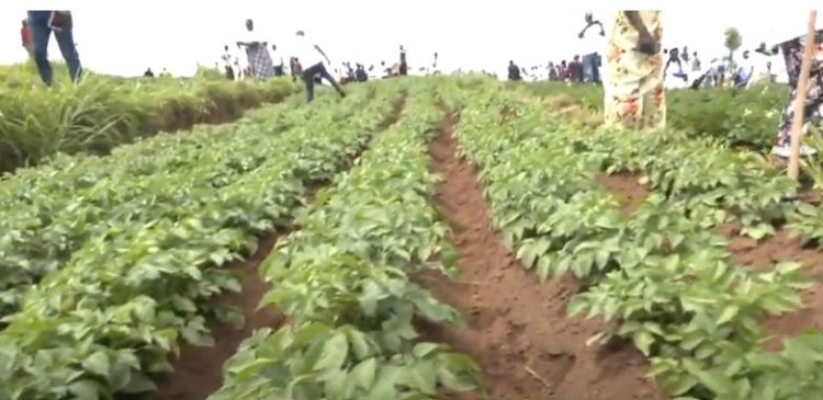 MINAGRI irasaba abikorera gufasha abatuye ibyaro kugeza umusaruro beza ku isoko.