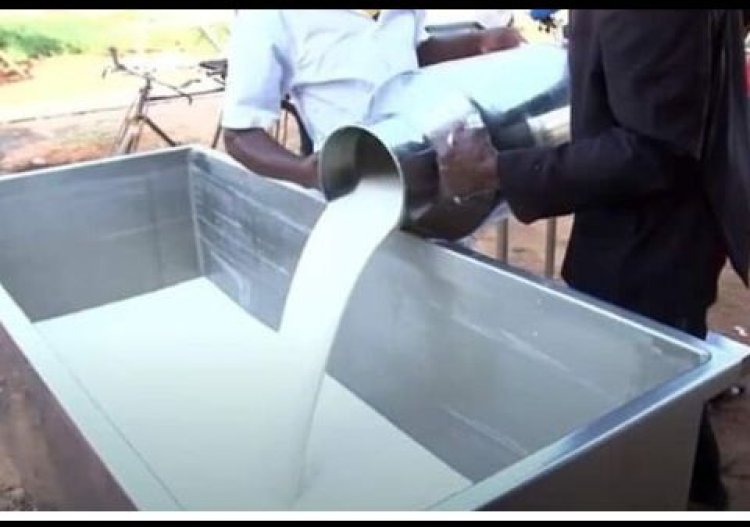 Musanze:Abagemura amata ku ikusanyirizo baravuga ko batishyurwa amafaranga yabo.