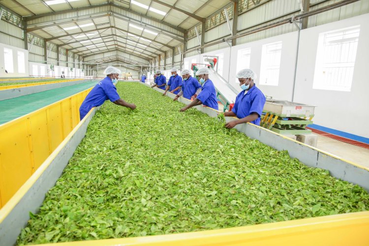 Ubukungu bw'u Rwanda mu gihembwe cya 3 bwarazamutse