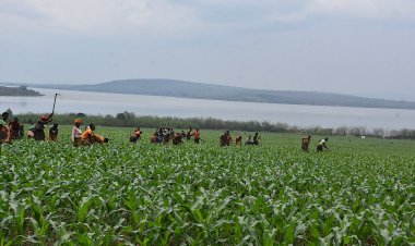 Hari abagize Inteko Ishinga Amategeko basanga leta yateza imbere ibihingwa ngandura rugo