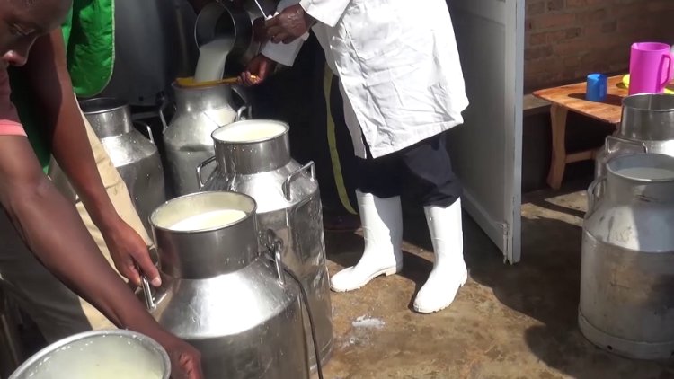 Gisagara:  Abaturage barifuza ikaragiro , ubuyobozi bwo ngo ni basubize amerwe mu isaho