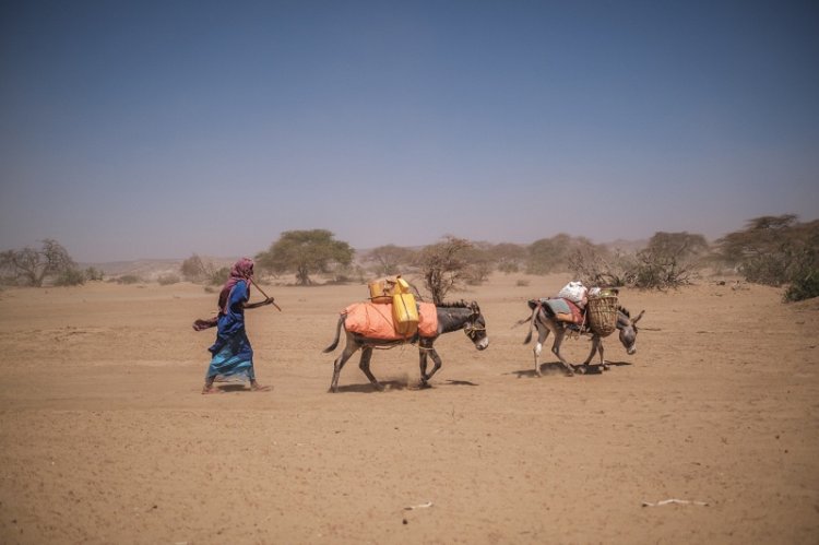 Ihembe rya Afrika: Abantu miliyoni 22 bazahajwe n’ amapfa.