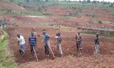 Meteo Rwanda ivuga ko iki gihembwe cy’itumba hazagwa imvura nkeya ishobora gucika hakiri kare