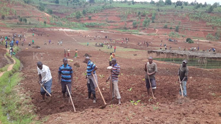Meteo Rwanda ivuga ko iki gihembwe cy’itumba hazagwa imvura nkeya ishobora gucika hakiri kare