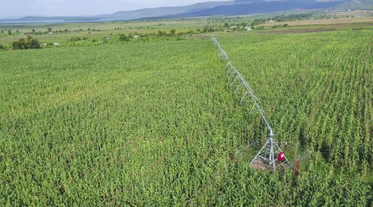 Kirehe: Imishinga yo kuhira yazamuye imibereho y'abaturage