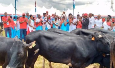 Nyaruguru: Abanyamuryango ba FPR INKOTANYI boroje inka abanyamuryango 13.