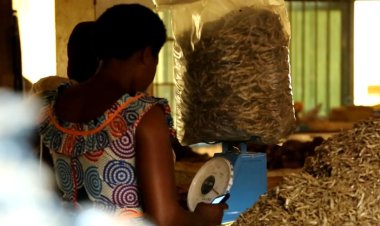 Abaguzi n’abacuruzi ntibavuga rumwe ku buziranenge bw’iminzaniba ikoresha mu bucuruzi.