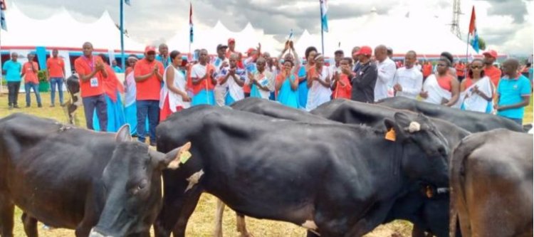 Nyaruguru: Abanyamuryango ba FPR INKOTANYI boroje inka abanyamuryango 13.