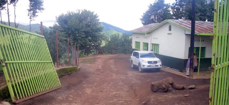 Rubavu - Nyabihu: Aborozi bagemura amata ku ikusanyirizo rya Arusha barishyuza amafaranga yabo