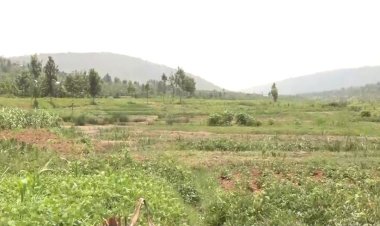 Gatsibo: Abahinga mu gishanga cya Manishya babangamirwa no kubura ubwiherero muri icyo gishanga