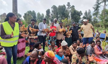 Musanze : Abaturage bo mu murenge wa Kinigi bafite abana bahuye n’ikibazo cy’ingwingira borojwe inkoko