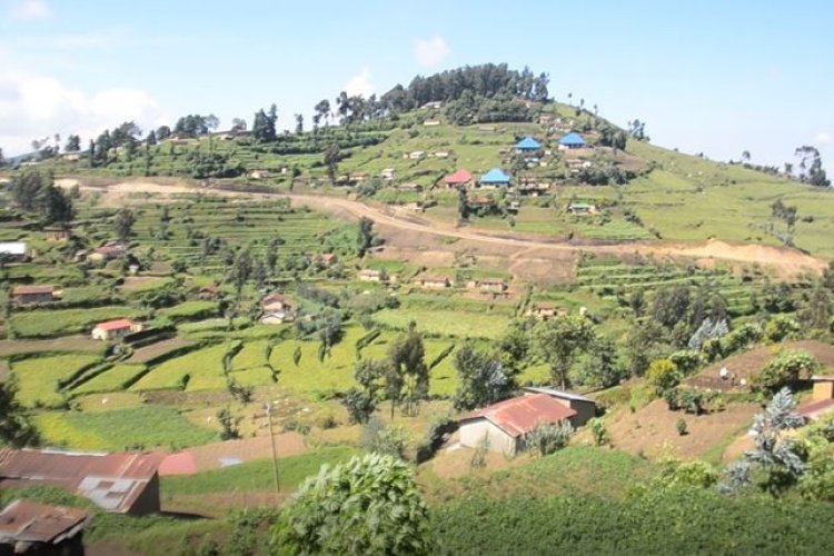 Nyabihu- Arusha:  Abaturage barasaba ko bakwegerezwa amazi kuko bagorwa no kujya kuvoma kure