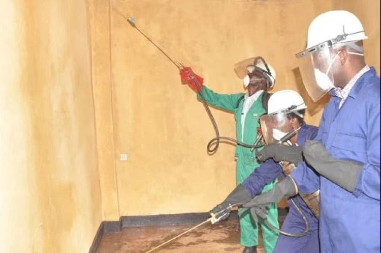 Gutera imiti mu nzu z'abaturage birwanya Malariya kuri 85%