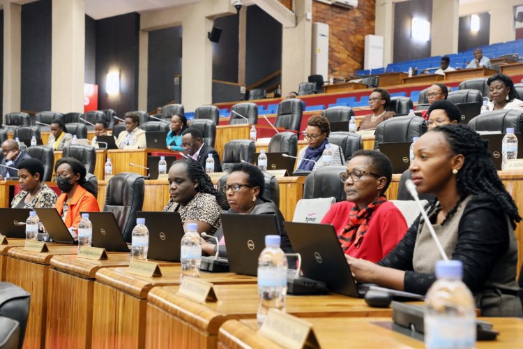 Raporo ya RGB yerekana ko inkingi y'imibereho myiza iri inyuma y'izindi muri gahunda ya NST1