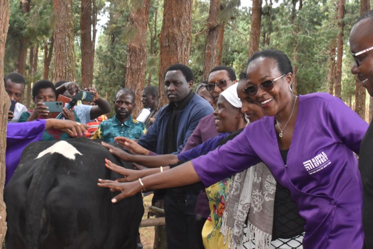 Nyaruguru: Abanywaga amata bayaguze bagiye kujya bayikamira