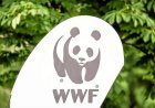 Uburusiya bwahagaritse ibikorwa by'imiryango itegamiye kuri Leta wita ku bidukikije ‘WWF’.