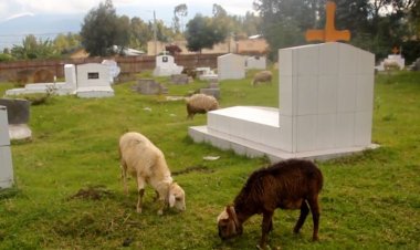 Musanze: Abafite ababo bashyinguye mu irimbi rya Kinigi batewe agahinda n'abarigize urwuri