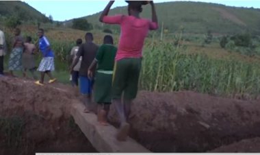 Kayonza: Bahangayikishijwe n’ibirari by’ibiti biri ku mugezi wa Nyakagezi utwara ubuzima bw’abana.