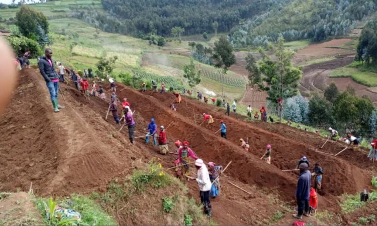 Nyaruguru: Abaturage baravuga ko amaterasi y'indinganire bakorewe bayitezeho kongera umusaruro