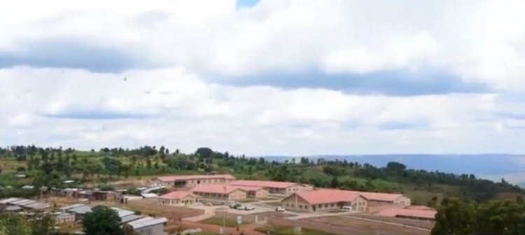 Kirehe: Ahari ishyamba hubatswe ishuli ry’imyuga rihindura byinshi.