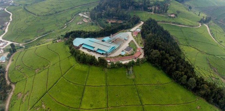 Ngororero: Ahahoze hari ububiko bw'imbunda zatsembye Abatutsi ubu ni urunganda benshi bakesha iterambere