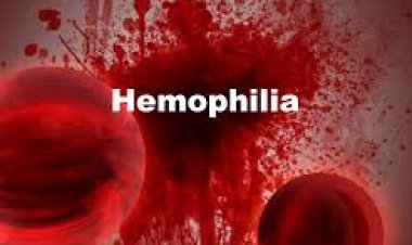 Hatangijwe imikoranire y'ibihugu mu kuvura indwara zandurira mu maraso