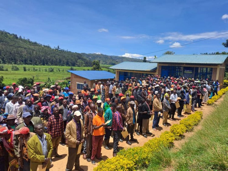 Ubwitabire bw’urubyiruko mu kwibumbira mu makoperative bukomeje kuba hasi cyane