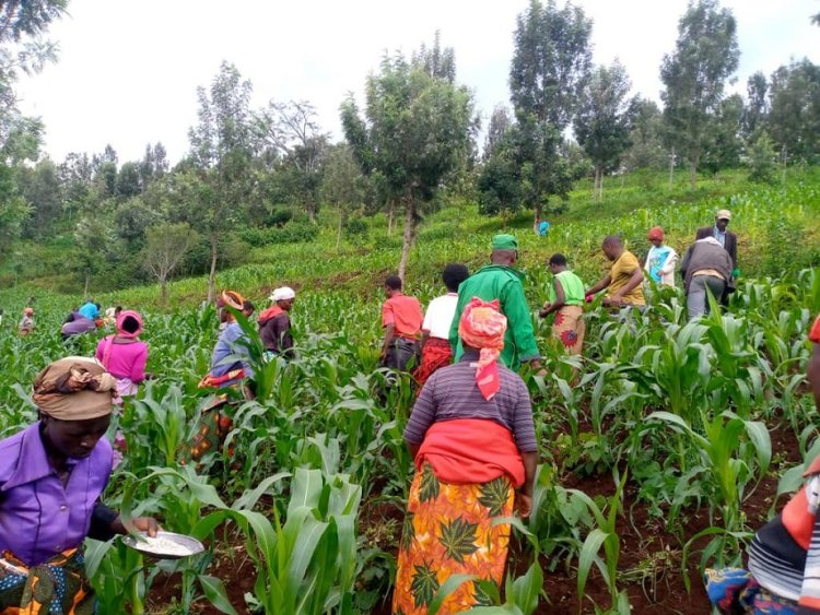 Abahinzi n’aborozi bagiye guhabwa inguzanyo ku nyungu ya 8%
