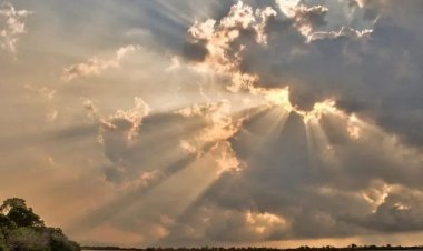 MUSANZE: Hakenewe ubufatanye mu kurengera ibidukikije nk'ibirinda ingaruka ikiremwamuntu.