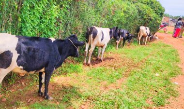 Abarokotse Jenoside yakorewe Abatutsi mu 1994 barishimira ko bakomeje gufashwa kwikura mu bukene