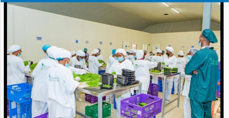 Ibyo u Rwanda rwohereza mu mahanga bikomeje kuba bike