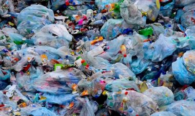 Amashashi na Pulasitiki: Ibyari imyanda byahindutse imari