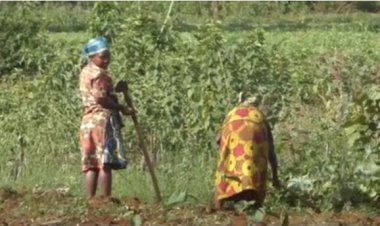 Iterambere ry’umugore wo mu cyaro ribangamiwe n’imyumvire ikiri hasi.