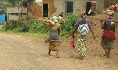 Musanze: Hari abaturage bavuga ko ifumbire mvaruganda yahawe bamwe abandi ntibayibone