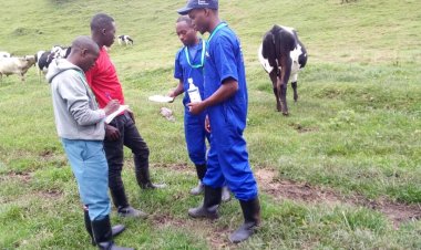 Abakora umwuga wo kuvura amatungo batangiye guhurizwa hamwe