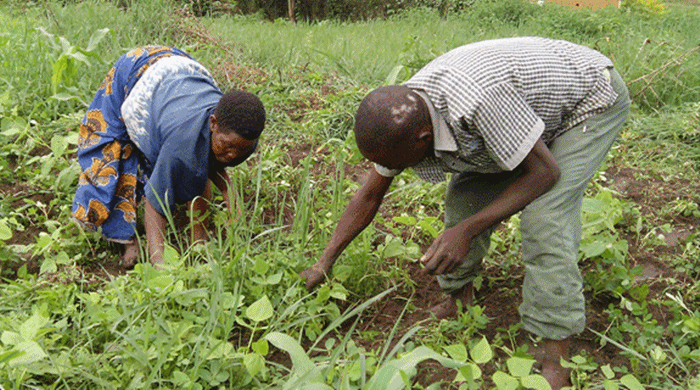 Uruhare rwo kwimakaza ihame ry'uburinganire mu kongera umusaruro
