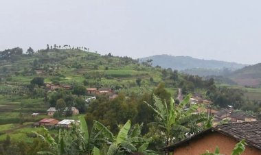 Nyaruguru:Abahinzi b'ibirayi barasabwa guhinga imbuto y'indobanure ibaha umusarur