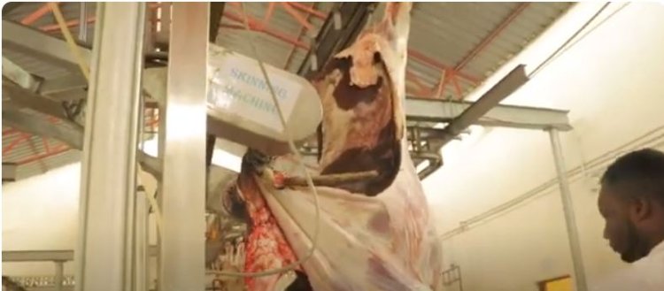 Amajyaruguru: Ababaga amatungo mu buryo bw’amagendu bagiye  kujya bahanwa